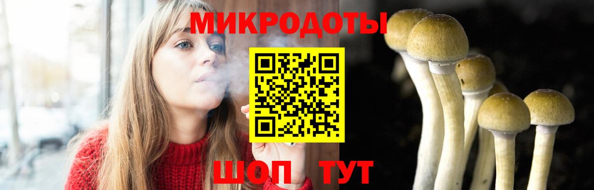 купить   Псилоцибиновые грибы Magic Shrooms  Вход с VPN  Хабаровск 